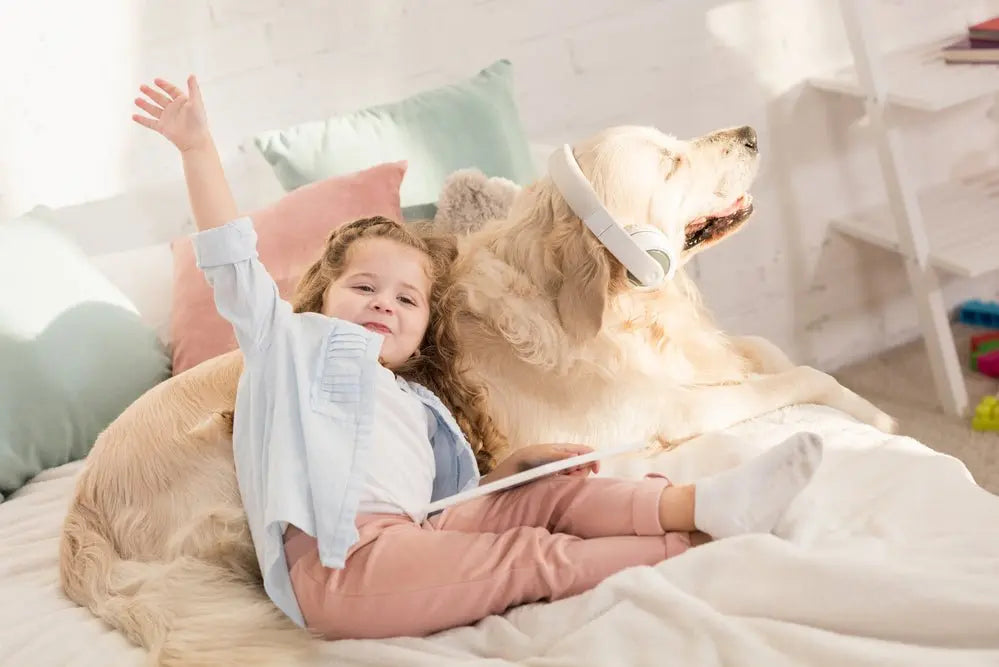 Use Science And Your MobiCam Pet Monitor To Soothe Your Pet  From Wherever You Are - MOBI USA
