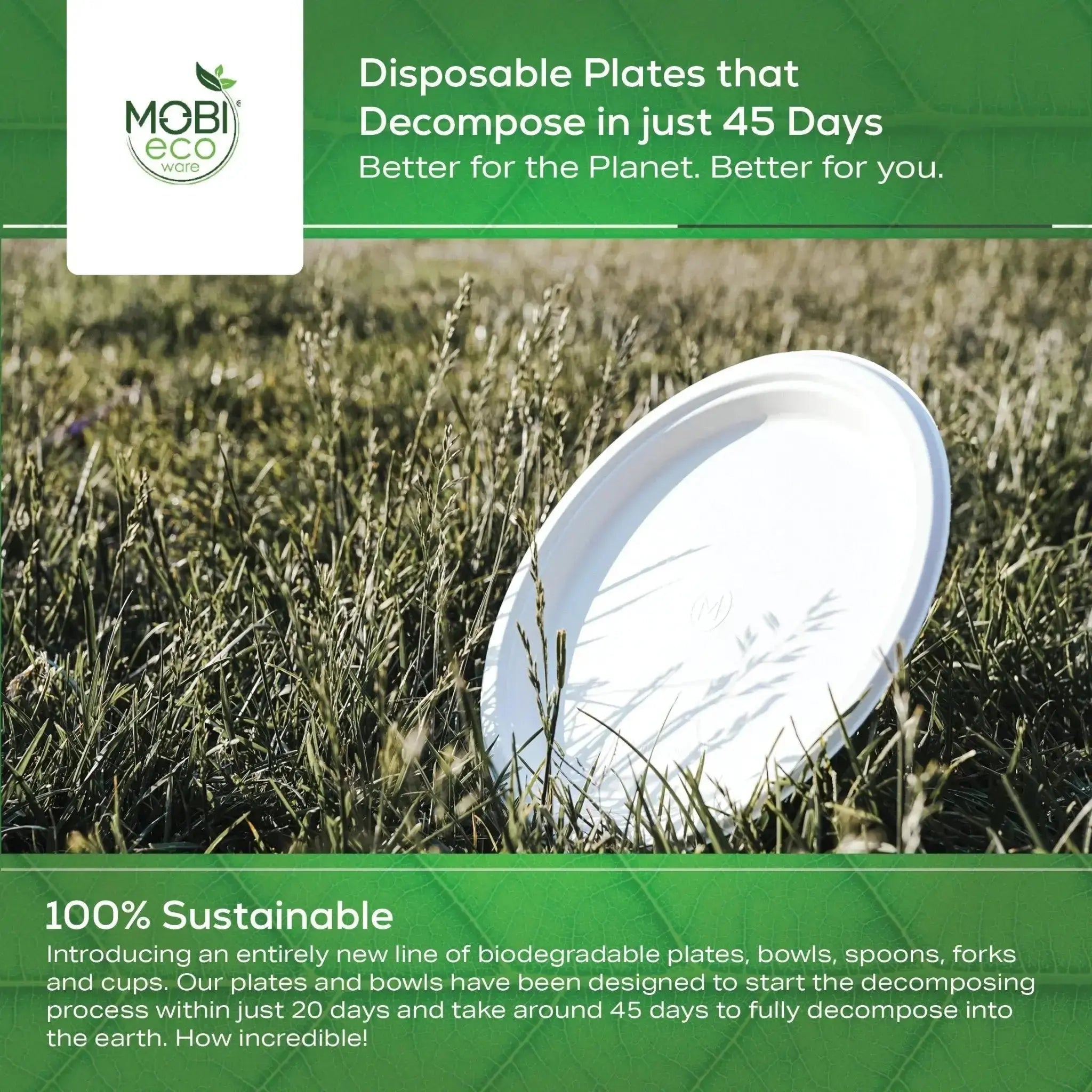 100% Compostable Plates, 10 inch Biodegradable Disposable Paper Plates Bulk for Birthday, Outdoor, Party, Camping, BBQ Eco Friendly 10" Plates by MOBI Ecoware, 125-pack - MOBI USA