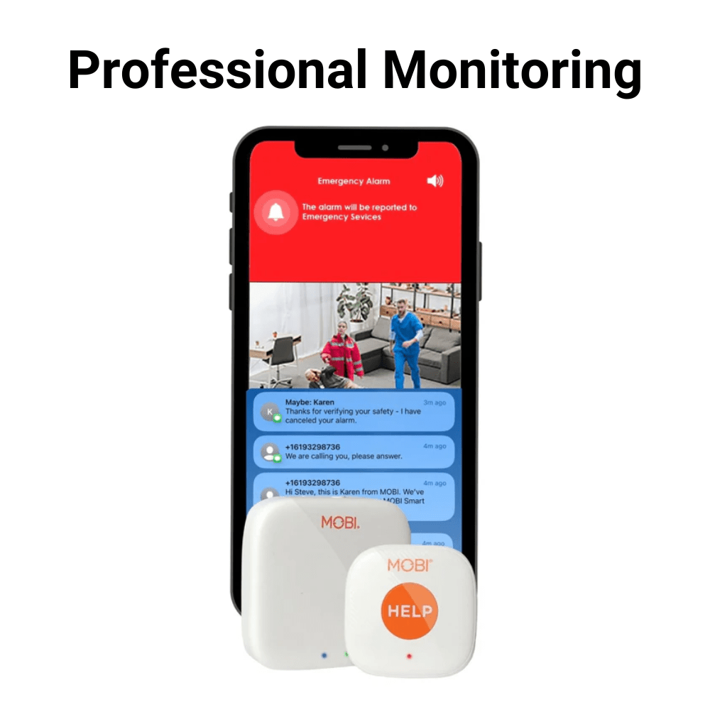 Professional Subscription Plan Monthly Professional